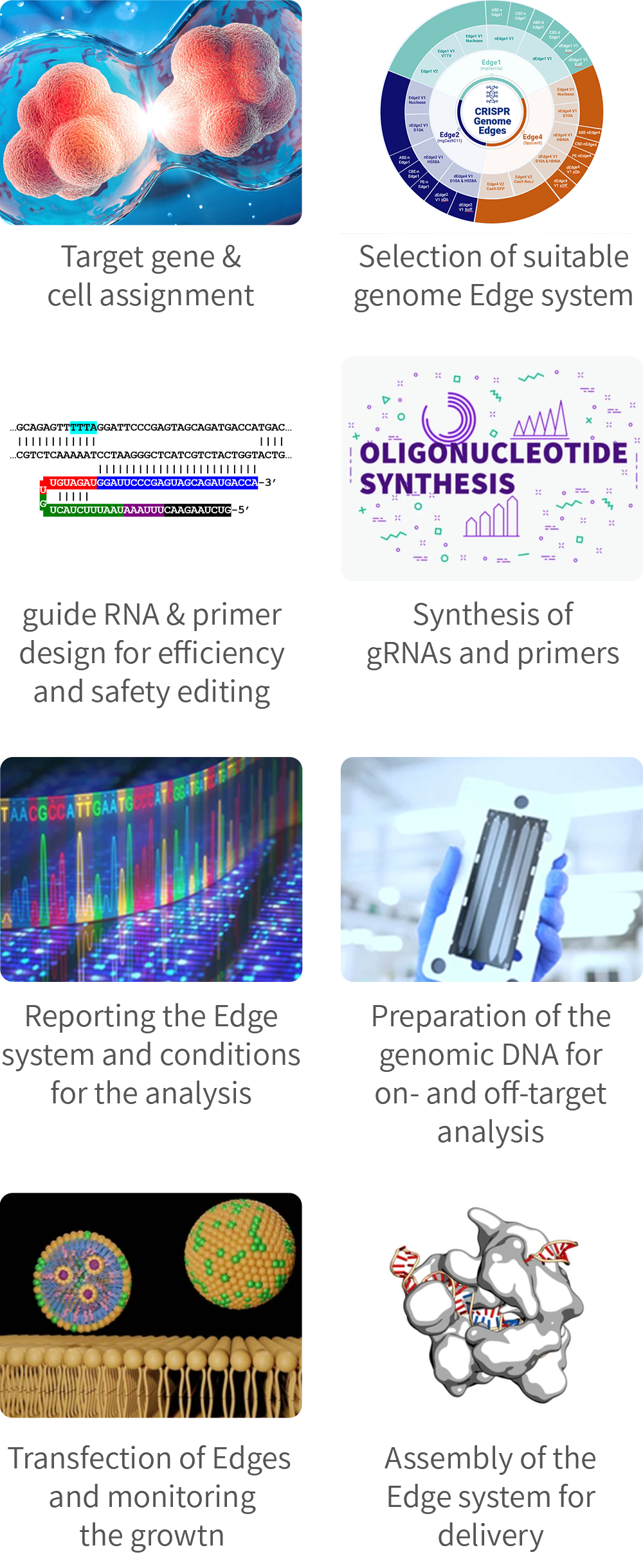 Contract genome editing service