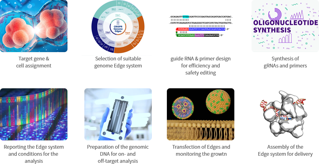 Contract genome editing service